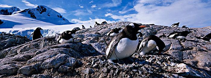 复古科幻射击游戏《恐外症》现已在Steam平台正式推出